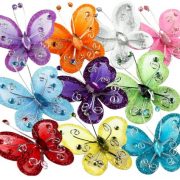 10x50-Gr-Lisa-Strickgarn-Strick-Wolle-Set-1-keine-Farbauswahl-mglich-1-Gratis-Schmetterling-0-2